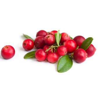 Arctic Cranberry Seed Oil